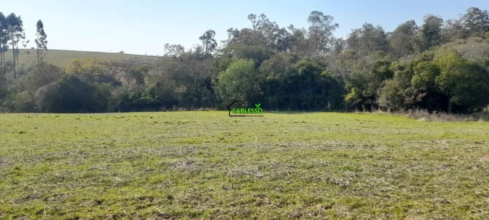 Sítio, 4 quartos, 8 hectares - Foto 16