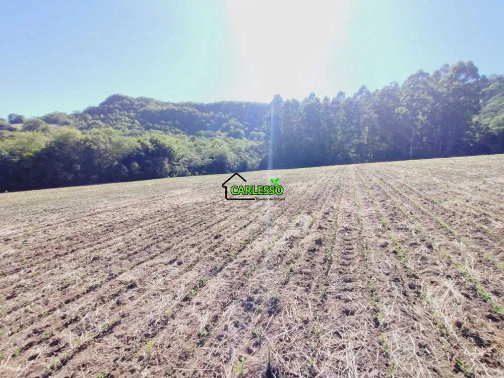 Chácara, 7 hectares - Foto 4