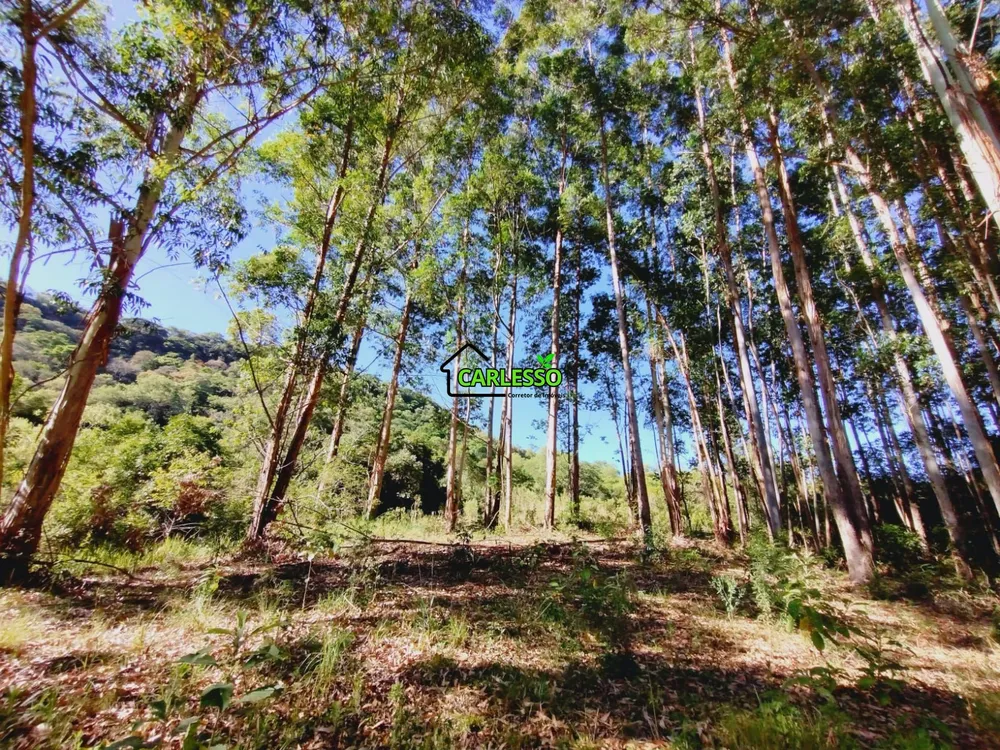 Chácara, 7 hectares - Foto 2