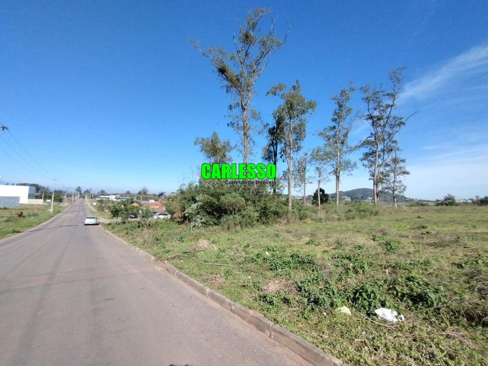 Terreno, 1500 m² - Foto 1