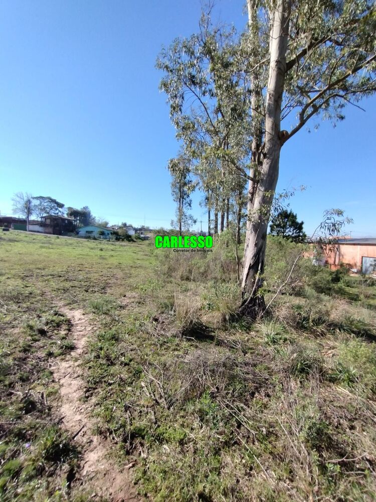 Terreno, 1500 m² - Foto 4