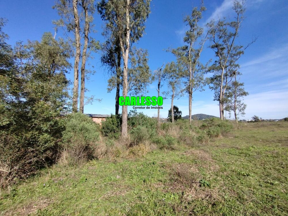 Terreno, 1500 m² - Foto 3