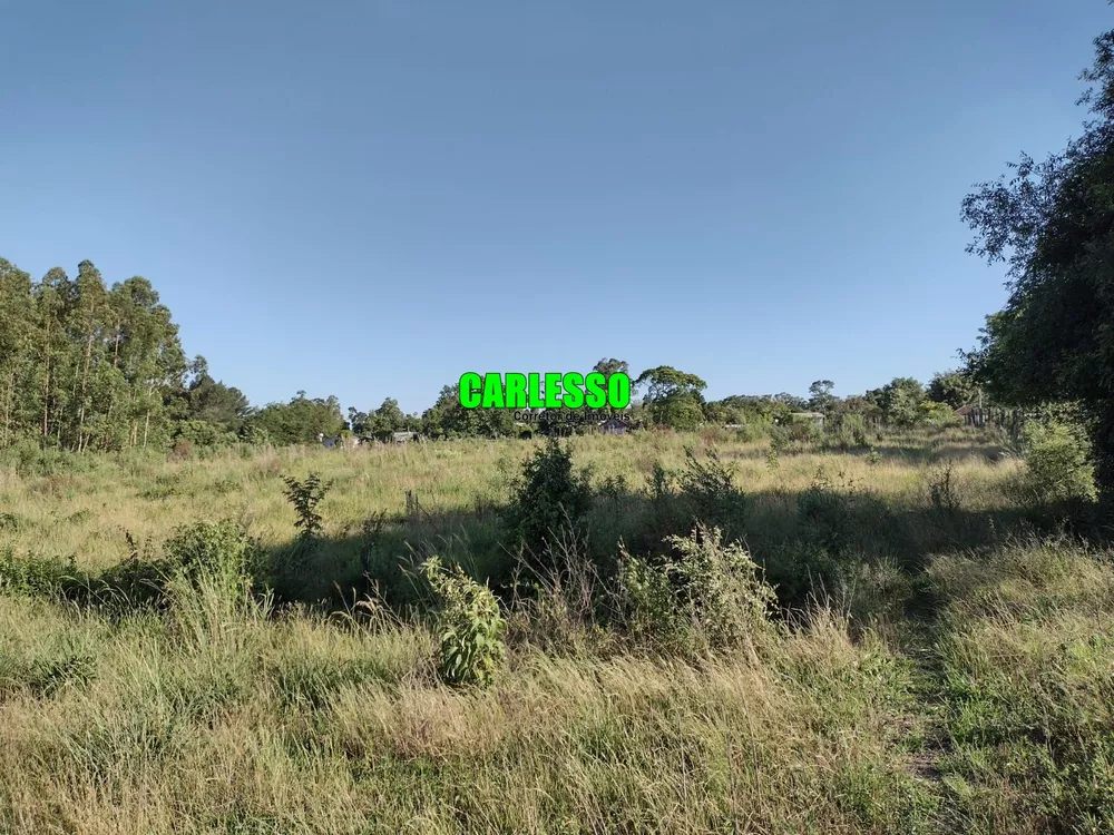 Chácara, 2 quartos, 15 hectares - Foto 4