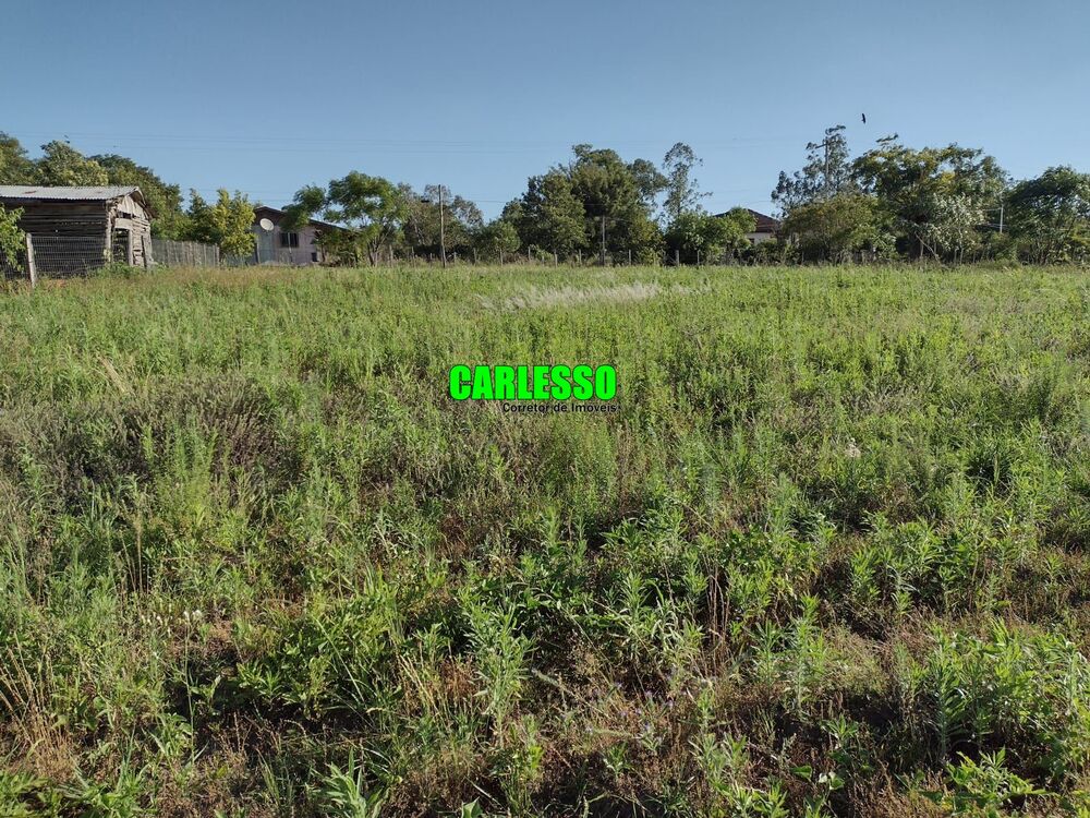 Chácara, 2 quartos, 15 hectares - Foto 7