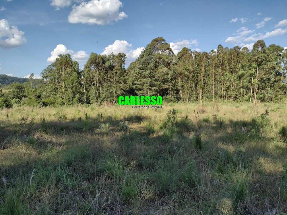 Chácara, 2 quartos, 15 hectares - Foto 40