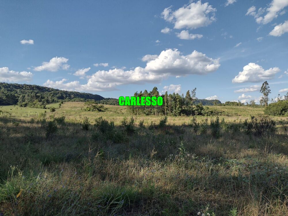 Chácara, 2 quartos, 15 hectares - Foto 11