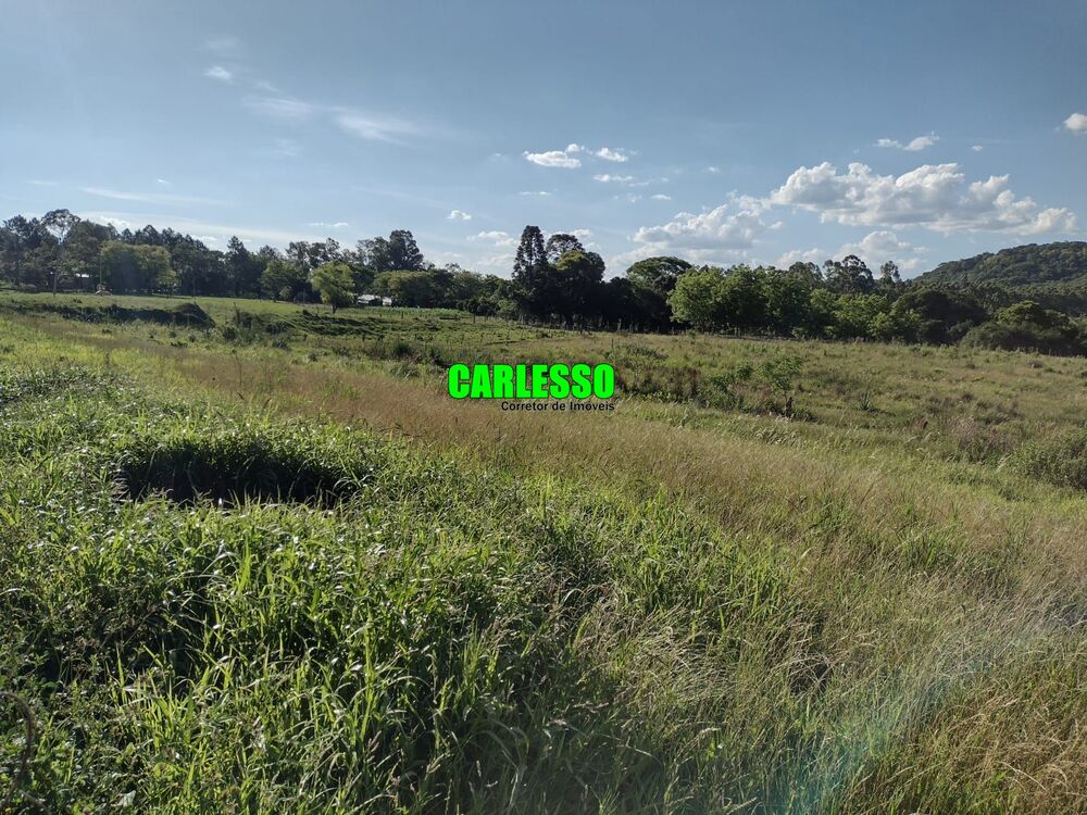 Chácara, 2 quartos, 15 hectares - Foto 38