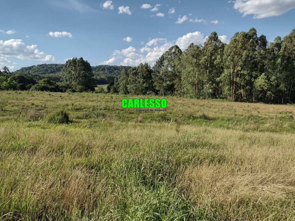 Chácara, 2 quartos, 15 hectares - Foto 13