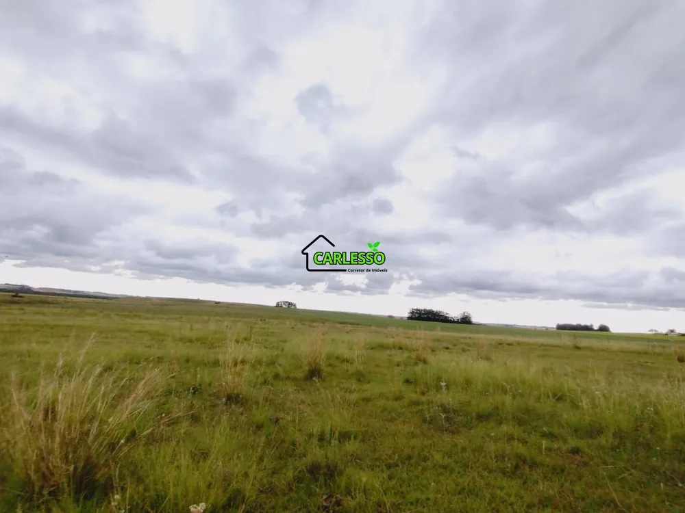 Fazenda, 119 hectares - Foto 12