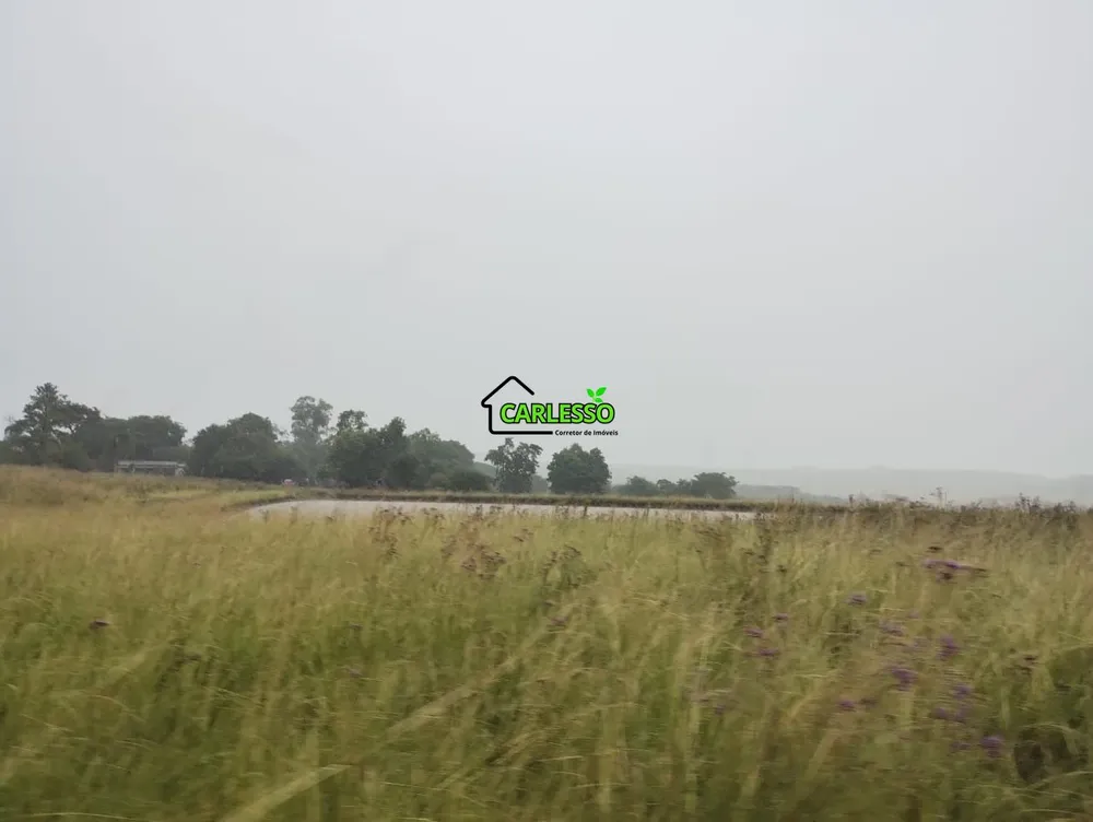 Fazenda, 119 hectares - Foto 9