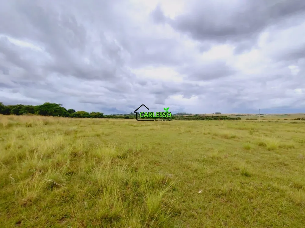 Fazenda, 119 hectares - Foto 8