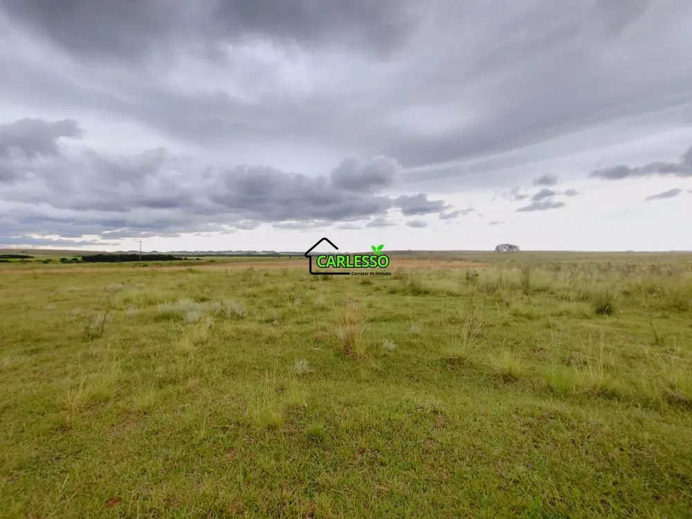 Fazenda, 119 hectares - Foto 2