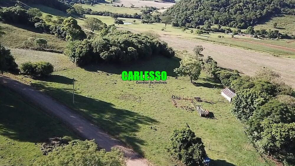 Sítio, 4 quartos, 21 hectares - Foto 4