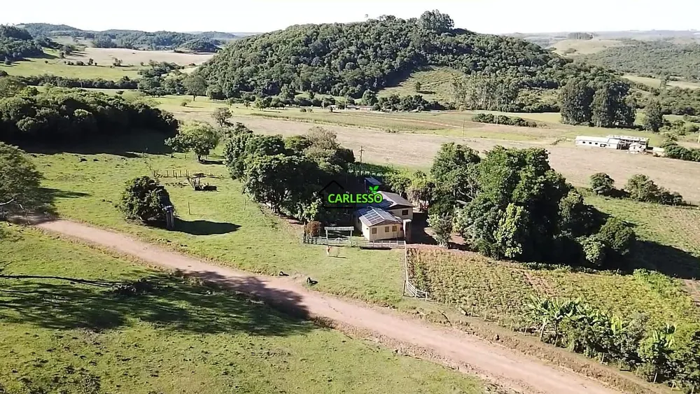 Sítio, 4 quartos, 22 hectares - Foto 11