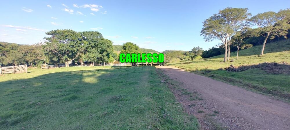 Sítio, 4 quartos, 21 hectares - Foto 3