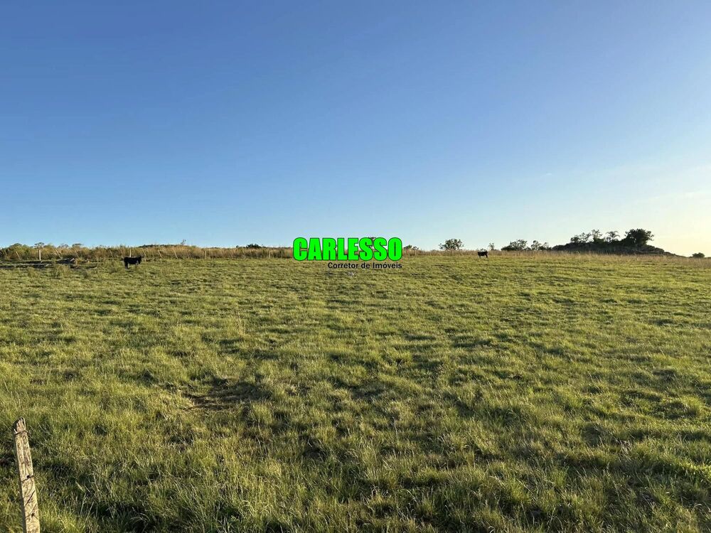 Fazenda, 80 hectares - Foto 2