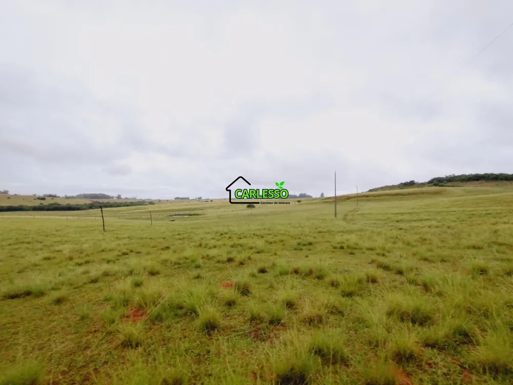 Fazenda, 80 hectares - Foto 12