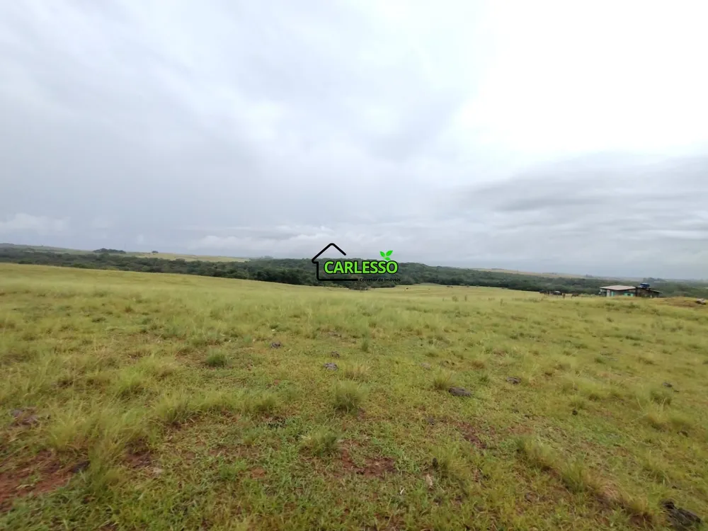 Fazenda, 80 hectares - Foto 15