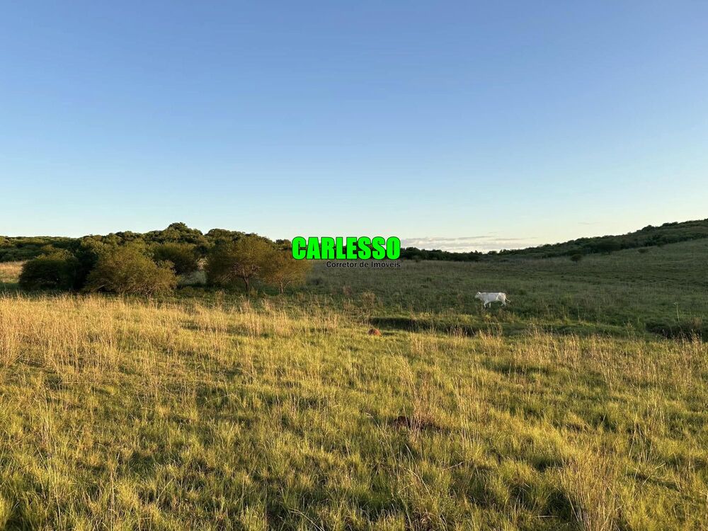 Fazenda, 80 hectares - Foto 1