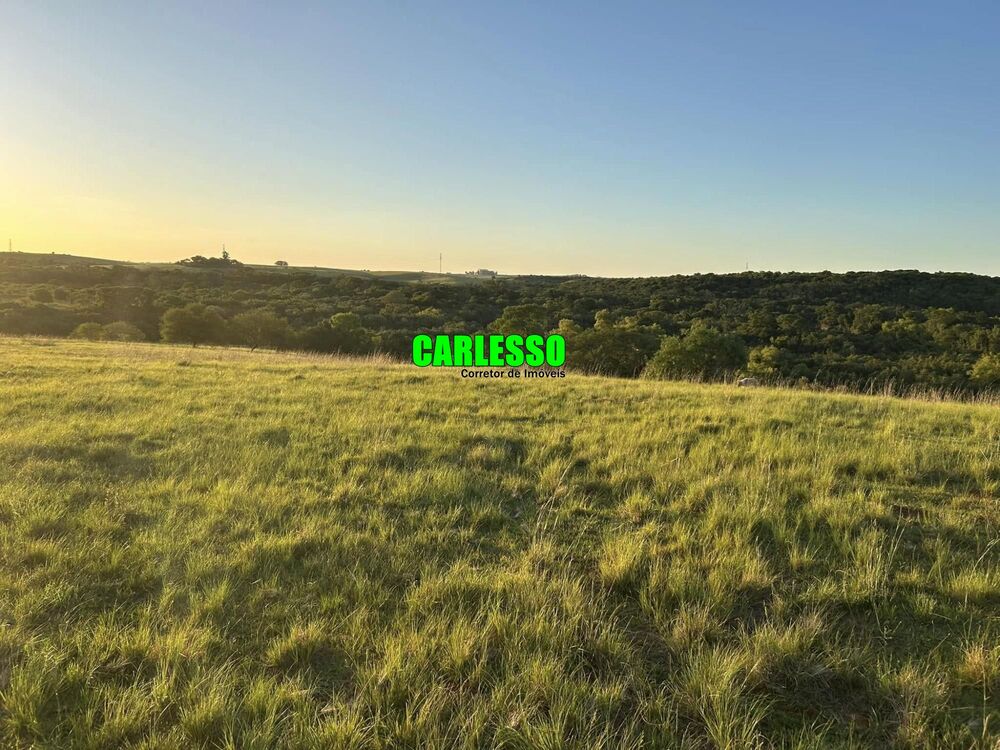 Fazenda, 80 hectares - Foto 4