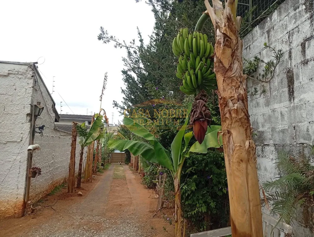 Chácara, 2 quartos, 900 m² - Foto 4