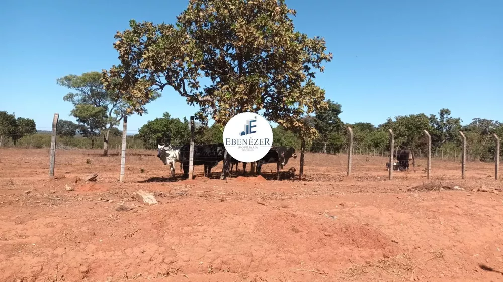 Chácara à venda, 3000m² - Foto 2