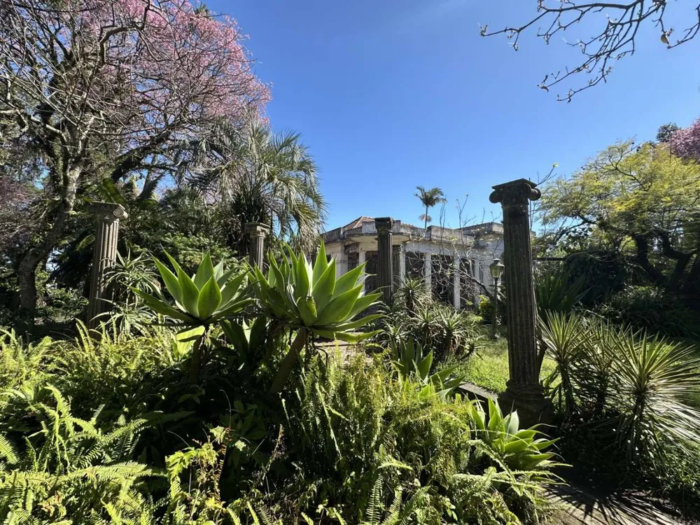 Casa, 3 quartos, 480 m² - Foto 6