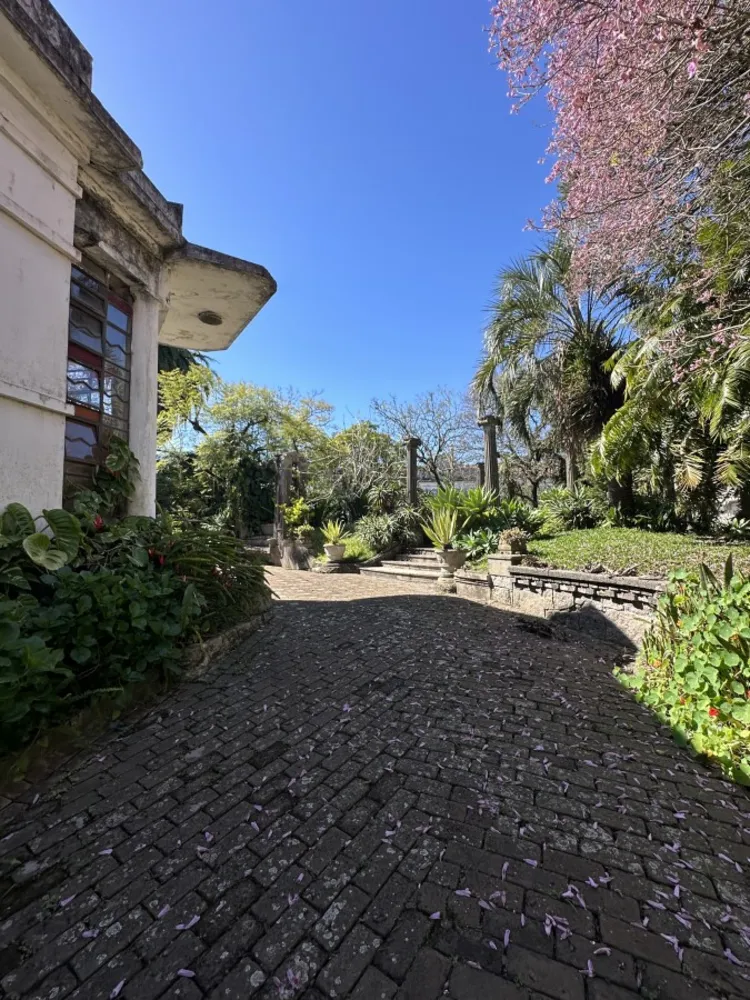 Casa, 3 quartos, 480 m² - Foto 4