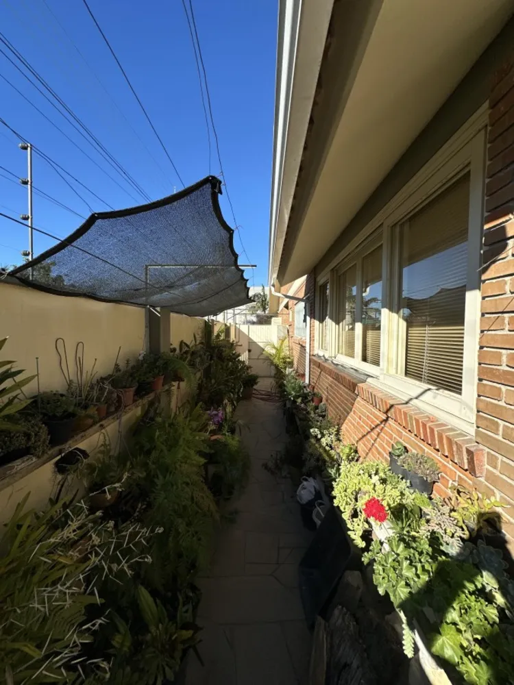 Casa, 3 quartos, 278 m² - Foto 5