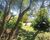Terreno, 3085 m² - Foto 2
