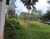 Chácara, 12 quartos, 20 hectares - Foto 2