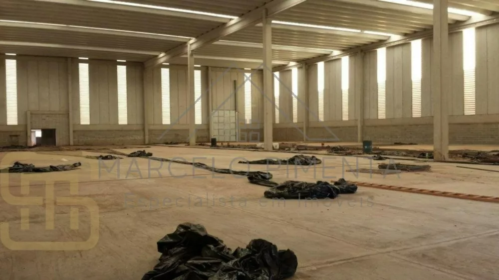 Depósito-Galpão, 24200 m² - Foto 2