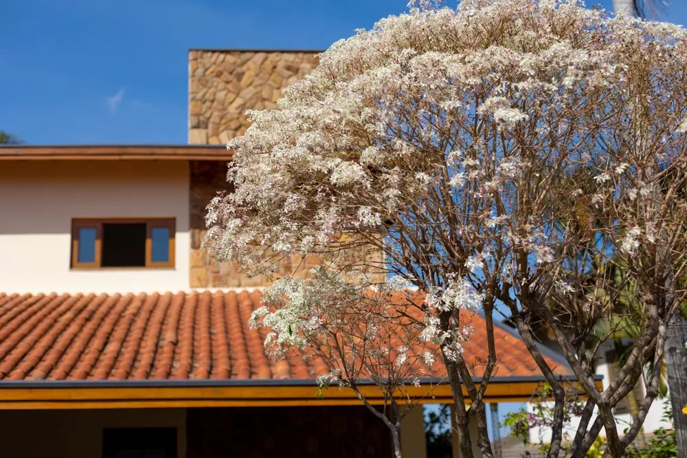 Casa, 5 quartos, 455 m² - Foto 1