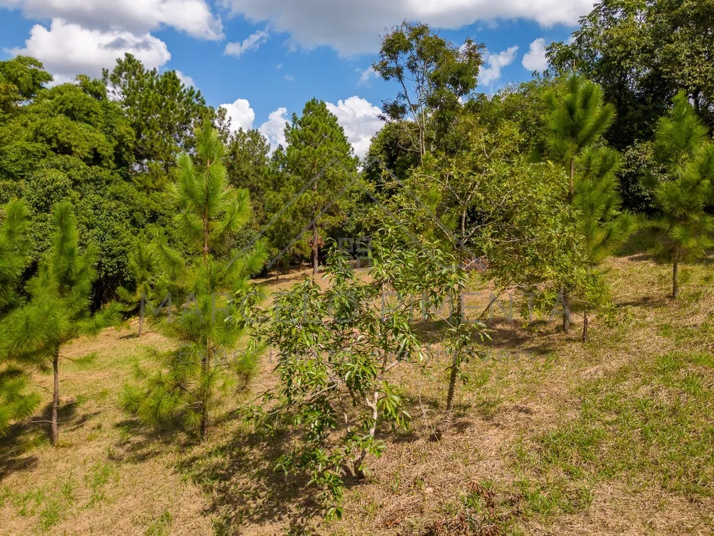 Terreno, 2 hectares - Foto 4