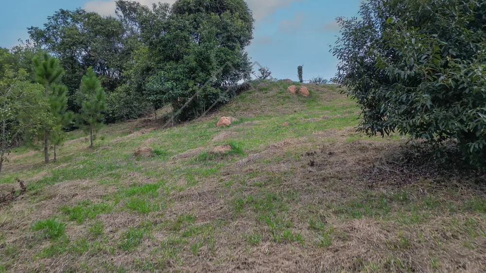 Terreno, 2 hectares - Foto 12