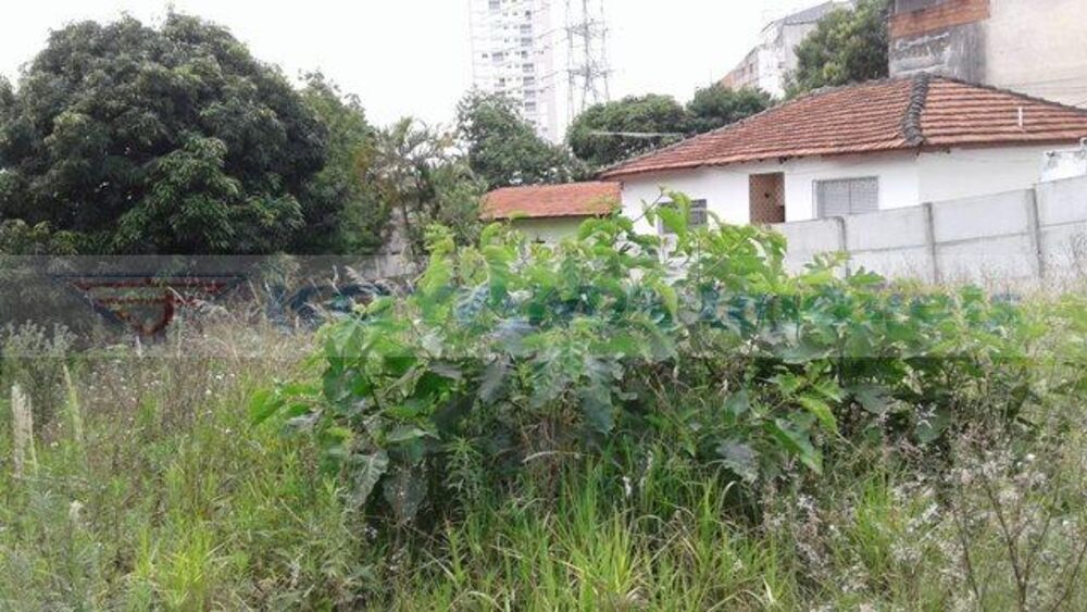 Terreno, 571 m² - Foto 4