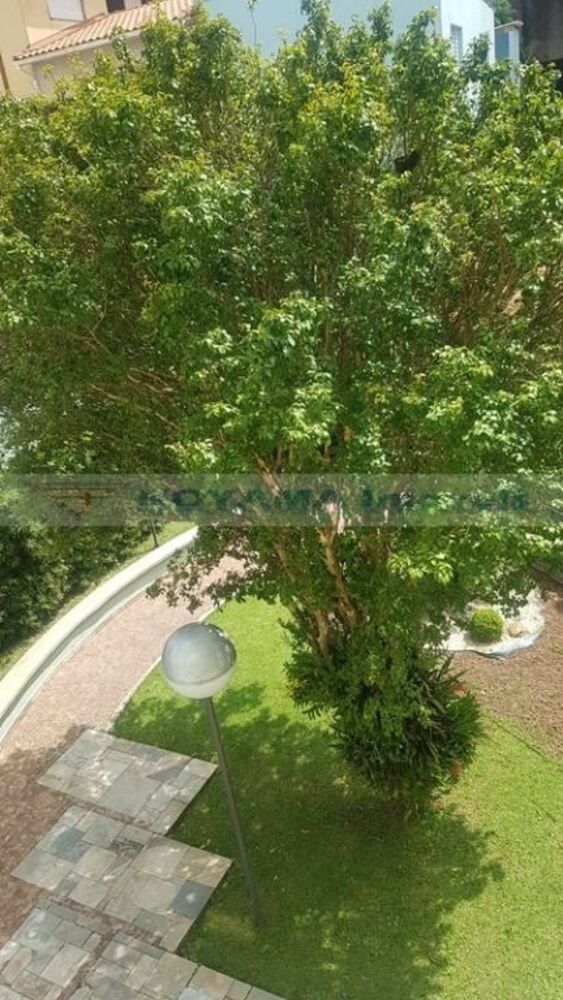 Apartamento, 1 quarto, 50 m² - Foto 24