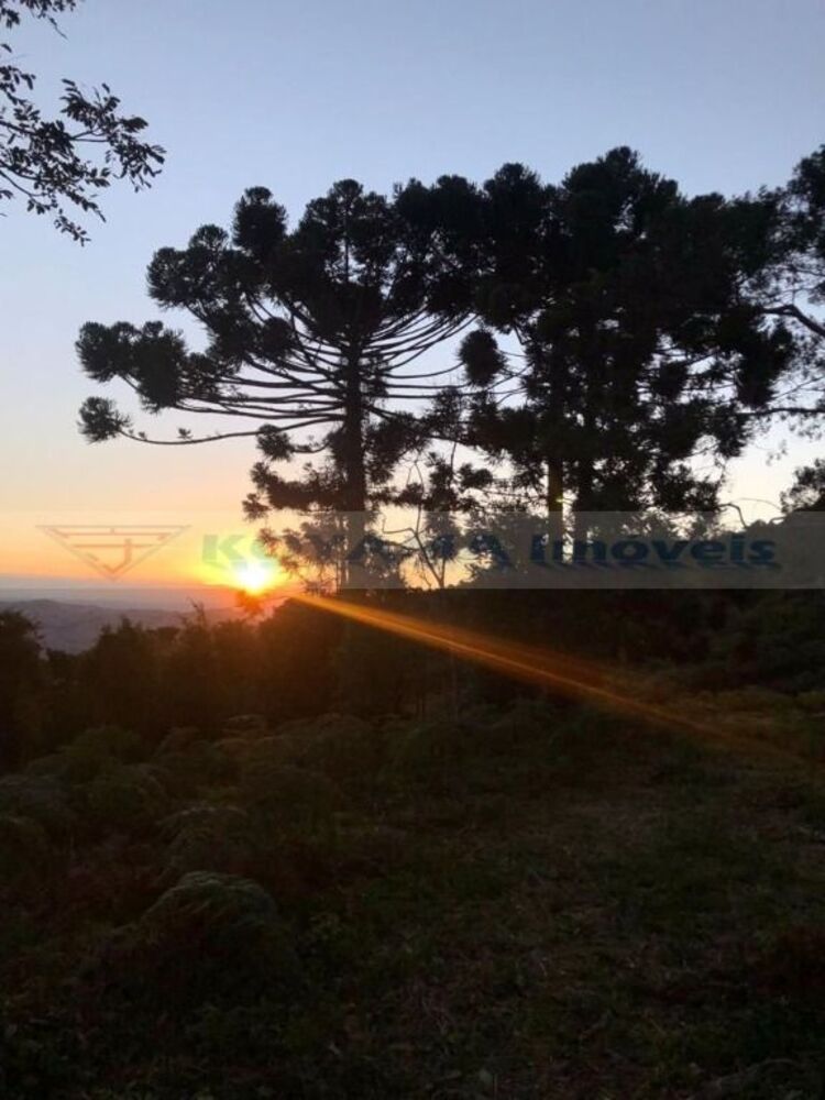 Sítio, 5 quartos, 68 hectares - Foto 4