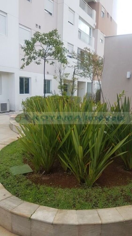 Apartamento, 2 quartos, 53 m² - Foto 12