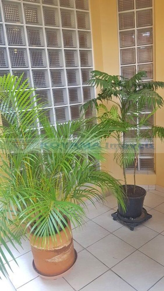 Sobrado, 4 quartos, 157 m² - Foto 1