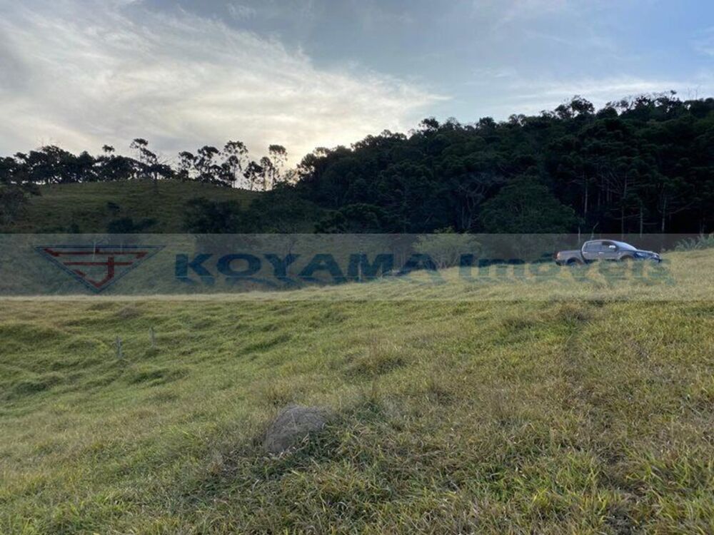 Terreno, 29 hectares - Foto 3