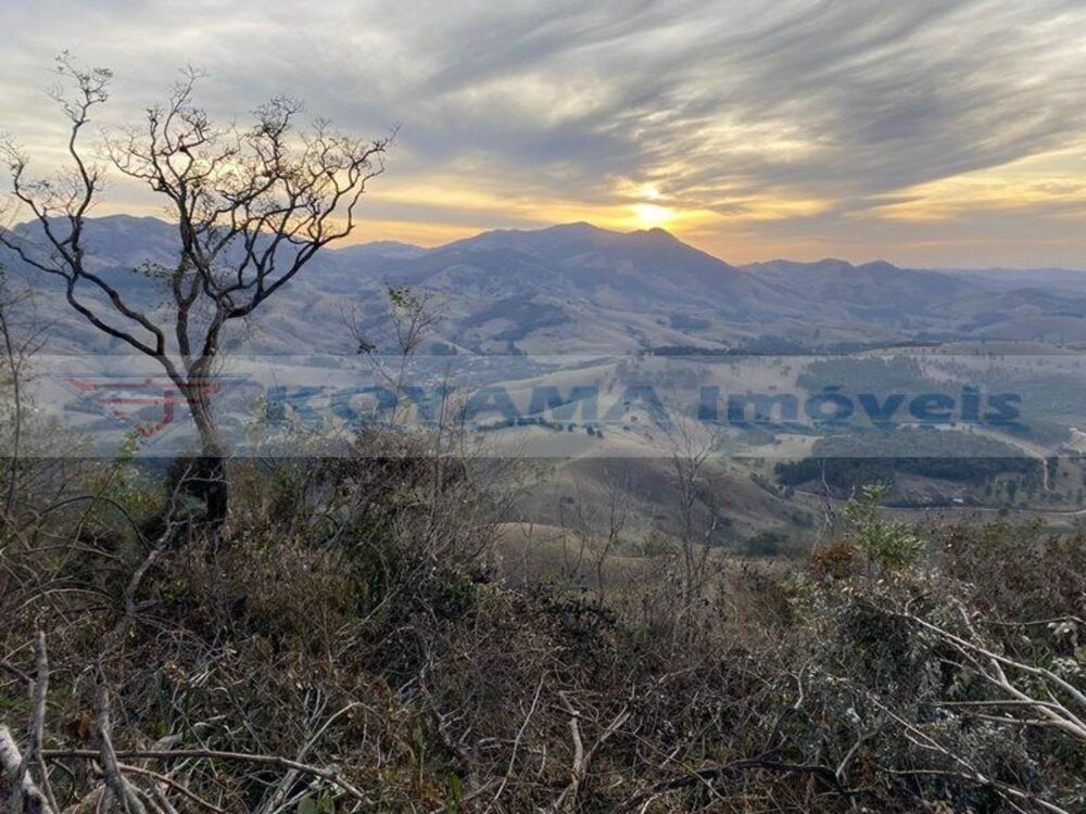 Terreno, 29 hectares - Foto 2
