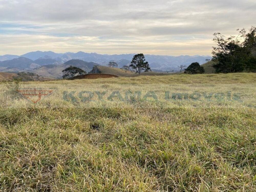 Terreno, 29 hectares - Foto 4