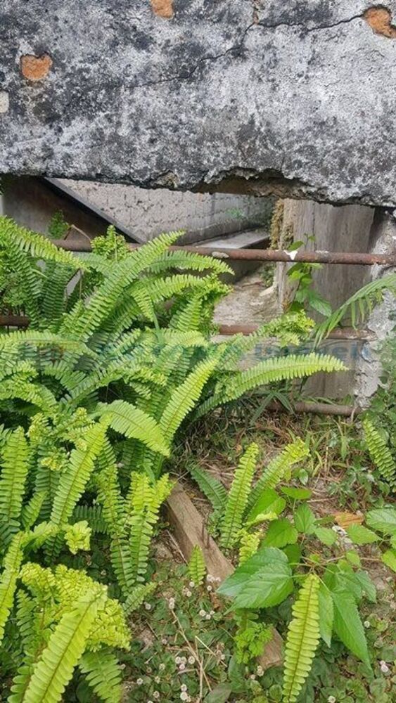 Sobrado à venda com 3 quartos, 138m² - Foto 8