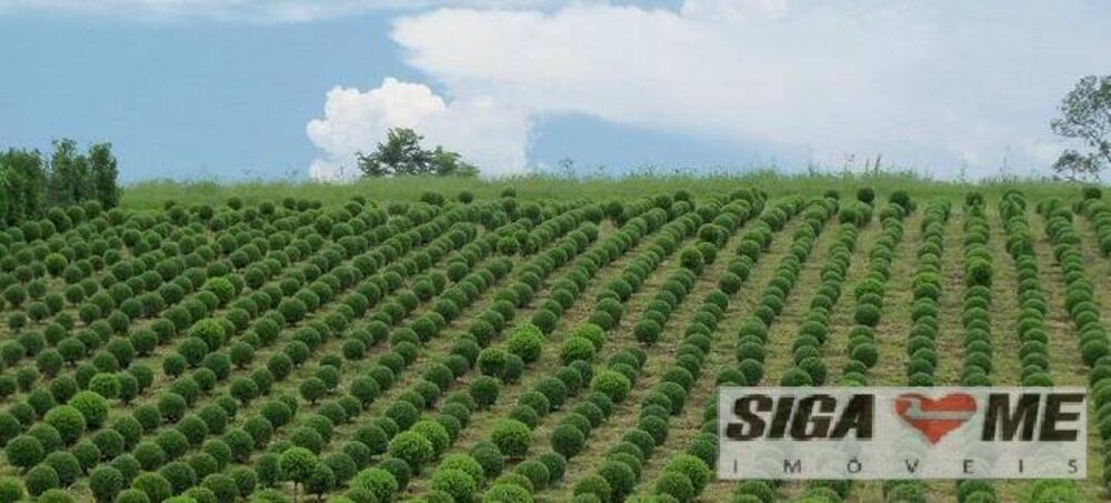 Chácara, 6 quartos, 4 hectares - Foto 1