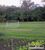 Chácara, 6 quartos, 4 hectares - Foto 2
