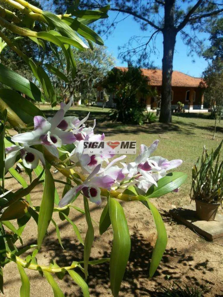 Chácara, 3 quartos, 8 hectares - Foto 2