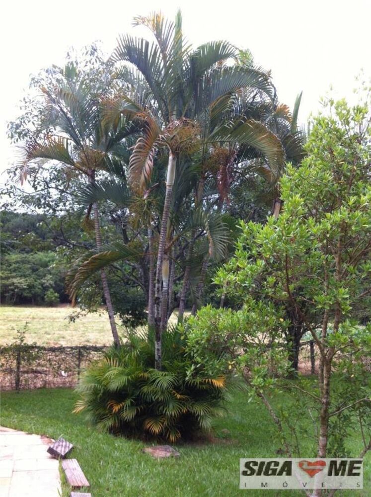 Chácara, 3 quartos, 8 hectares - Foto 2