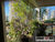 Apartamento, 4 quartos, 209 m² - Foto 4