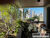Apartamento, 4 quartos, 209 m² - Foto 3